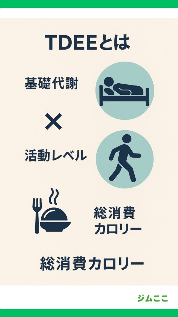 1日の総消費カロリー（TDEE）とは？